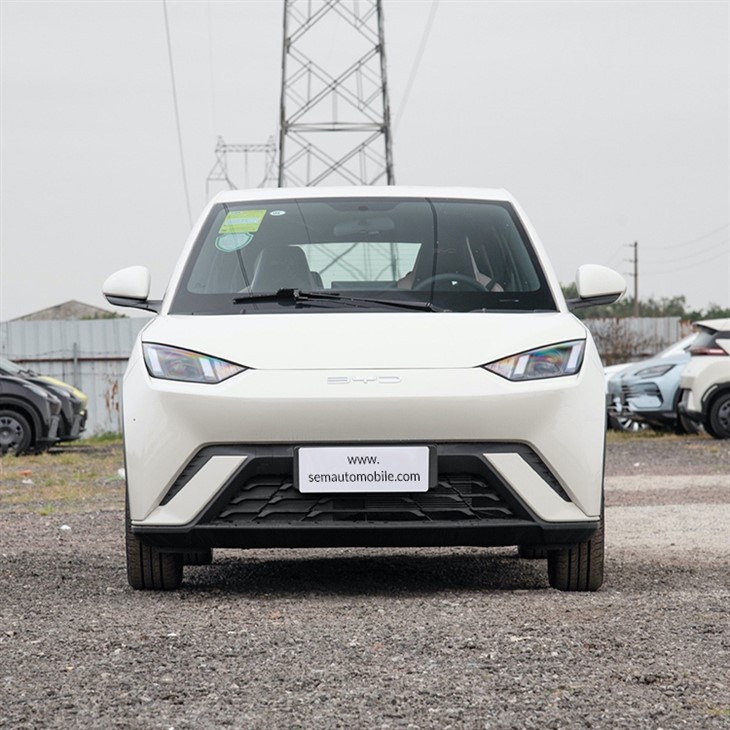BYD Seagull Mini Ev 305km